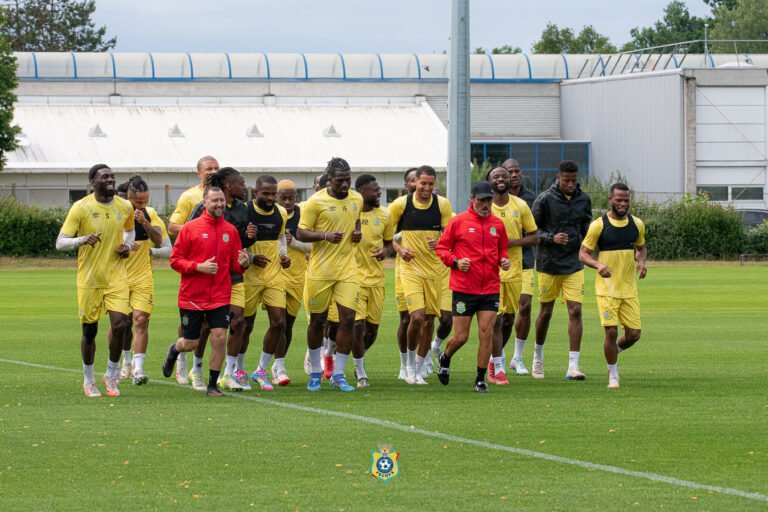 Match Amical: la rdc bat le Mali à Orléans (1-0)