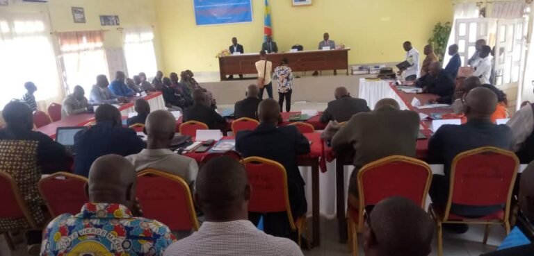 MANIEMA: L’Ong uwaki et le pnud impliquant les populations clés dans la lutte contre le vih / sida et la tuberculose