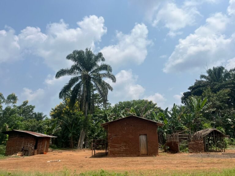 La Société Civile de Mamove Appelle à Soutenir Les Opérations conjoises fardc-updf contre les adf