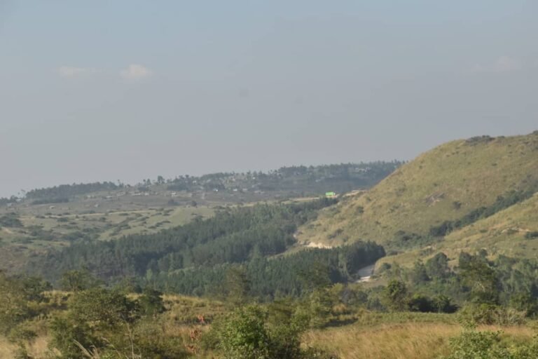 Affrontements meurtriers entre les FARDC et la milice Zaïre à Kpadole