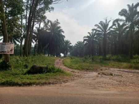 Une dizaine de morts danse une attaque des rebelles adf à beni