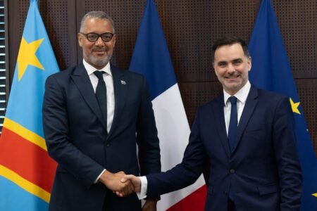 Renforcement du partenariat minier entre la RDC et la France
