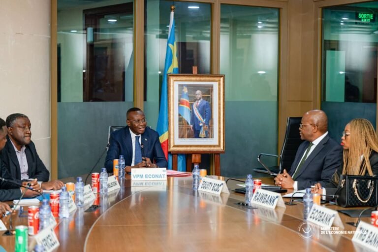RDC: Le GOUVERNIMENT ASSOCIE LES BANQUIERS À L’ENCADRENT DES ACTREURS INFORMELS ET À LEUR INSERTION DANS LE CIRCUIT