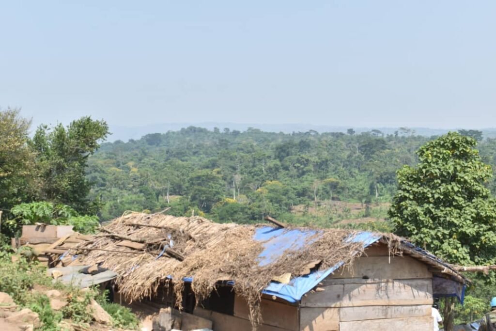 Beni : 3 civils tués et plusieurs disparus après une attaque des ADF à Mayi-Moya