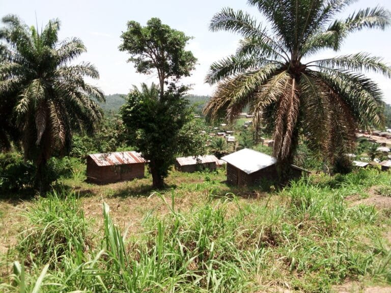 Les contes Africains: Entre Tradition Oale et Transmission Écrite. Le Professeur Butoa Balingène Partage la Sagesse Africaine à Travers Son Livre «Recueil de Proverbes Africains».