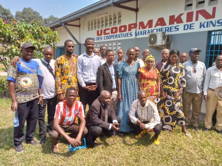 4e Réunion du Comité de pilotage du projet PSFD – Un million de plantules distribuées dans la Tshopo