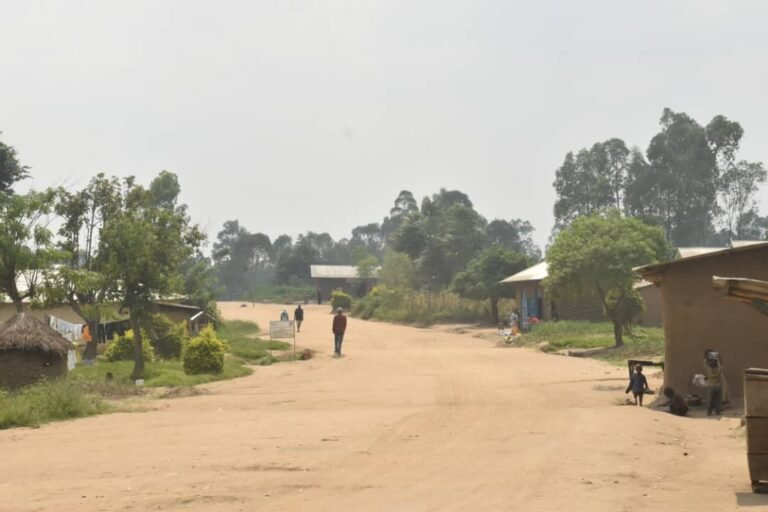 En Ituri, la société Greentech veut construire des écoles pour la population de Tseré