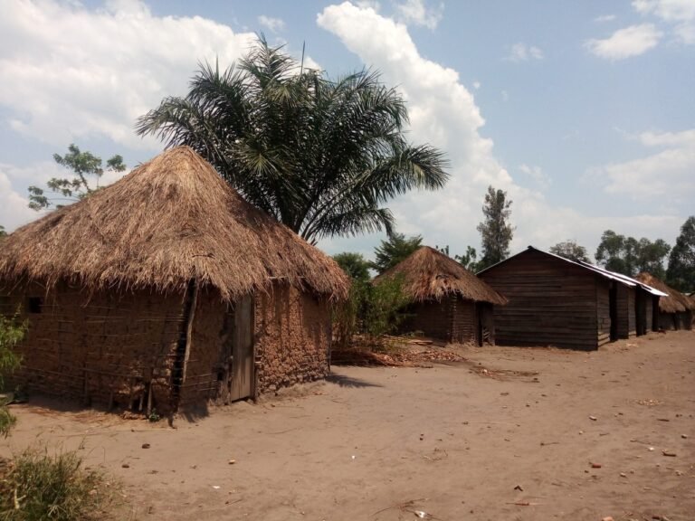 Deux Jeunes Agriculteurs d’UNE MAIME FAMILLE DISCARUS DEPUIS UNE SEMAINE À RUTSHURU