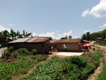 La Quête des Origines: Quand de Jeunes Parents ne Maitrisent plus les éléments de leur identité…