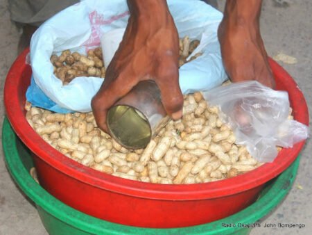 Enseignement à distance: Leçon sur le Soja, Le Sorgho et le Blé