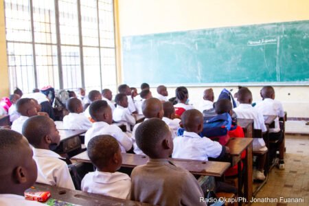 Enseignement à distance: Leçon de Zoologie sur le Guépard et la Panthère