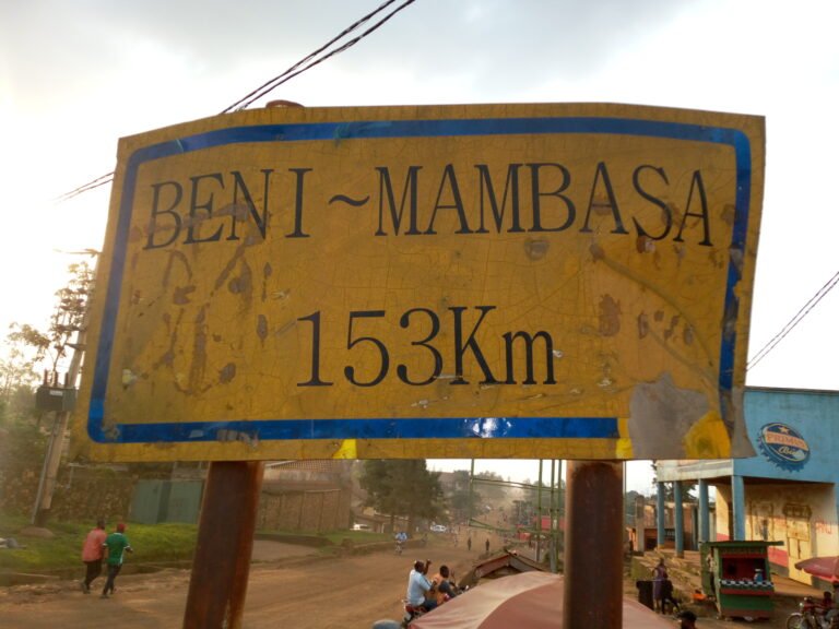 Deux morts et une dizaine de personnes kidnappées dans une attaque des ADF à Mambasa