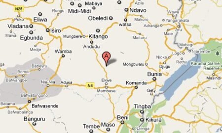 Près de 50 000 miliciens CODECO prêts à rejoindre la RAD en Ituri