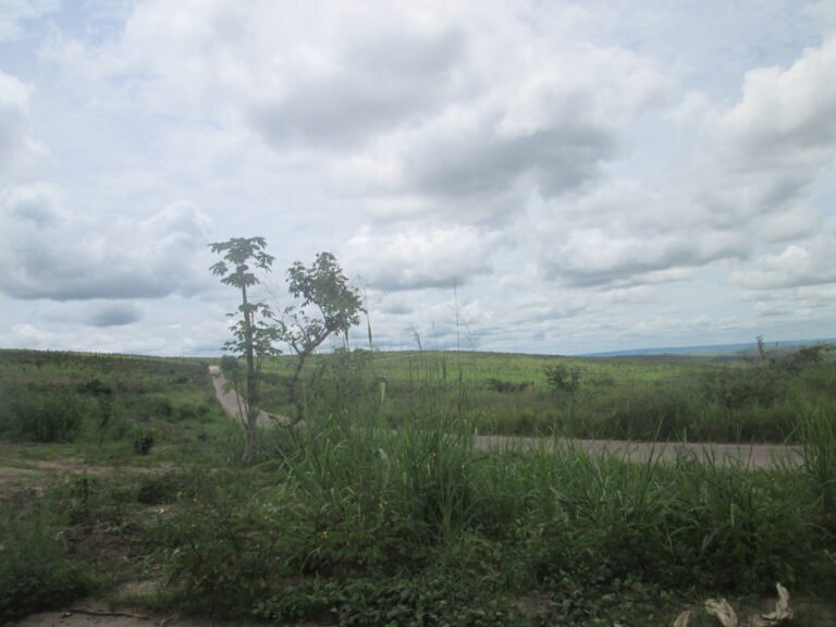 Les FARDC sécurisent la RN1 après trois jours d’opérations de ratissage