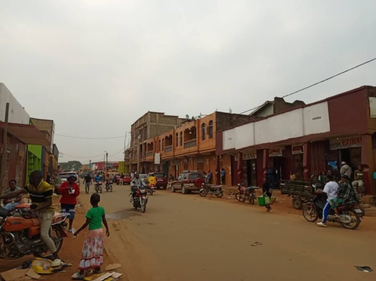 Des opérateurs économiques en grève pour dénoncer l’insécurité croissante en territoire de Beni