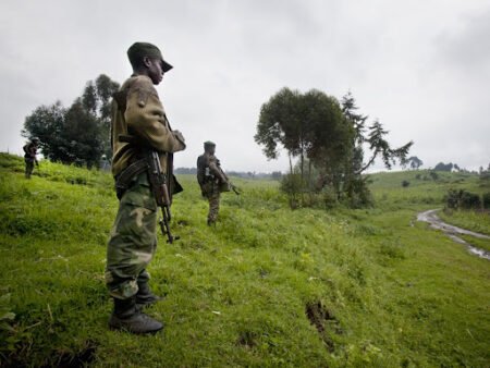 180 militaires des FARDC formés au combat en milieu de jungle en Ituri