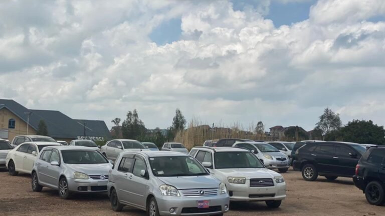 Lancement d’une nouvelle plaque d’immatriculation en RDC