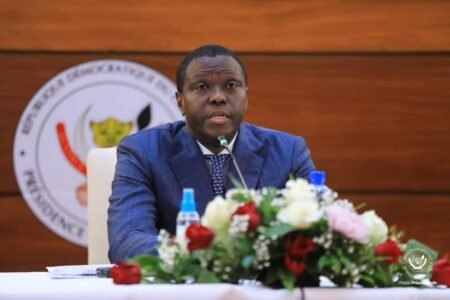 Évaluation de la stratégie de la BCC visant à stabiliser le franc congolais