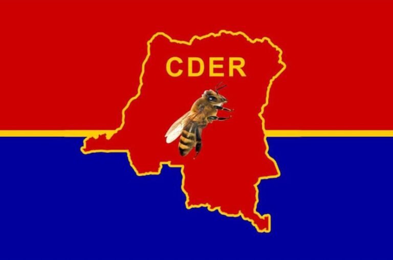 L’Ordre national du Léopard, un élément majeur de notre cohésion nationale, note le CDER