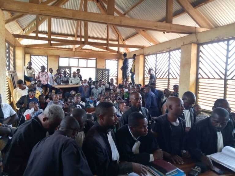 Que dit la loi congolaise sur l’injure publique ?