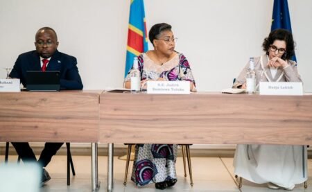 Ouverture de la Table ronde sur la protection des services de santé en RDC