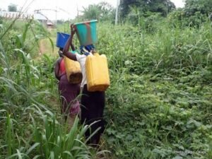 Journée internationale des forêts : « Les Écologistes RDC » plaident pour une reconnaissance des communautés locales