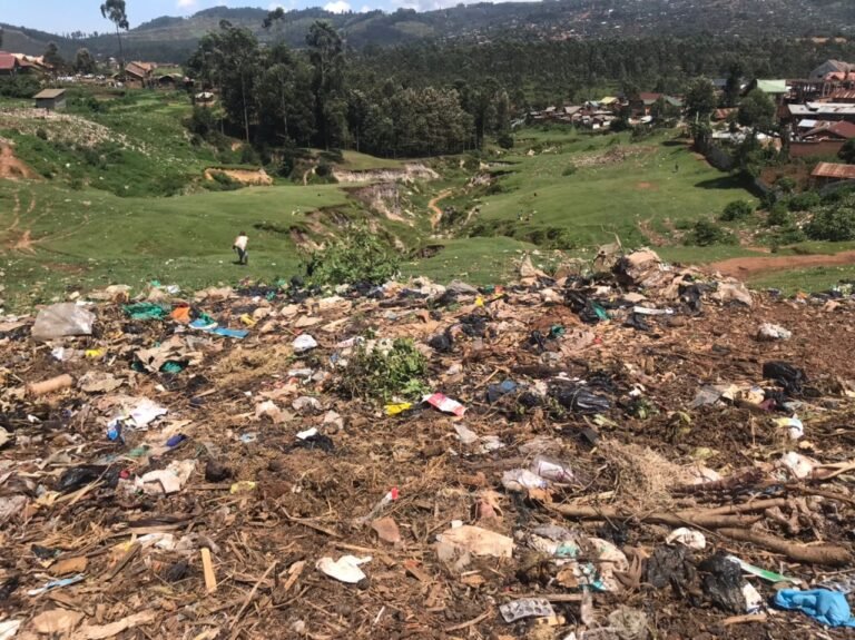 L’insalubrité des abattoirs de Bunia expose les riverains à des risques sanitaires