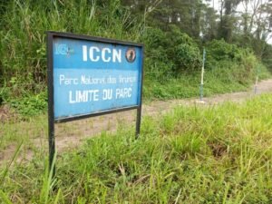 Nouvelle attaque contre un convoi de véhicules en plein Parc des Virunga : 2 morts