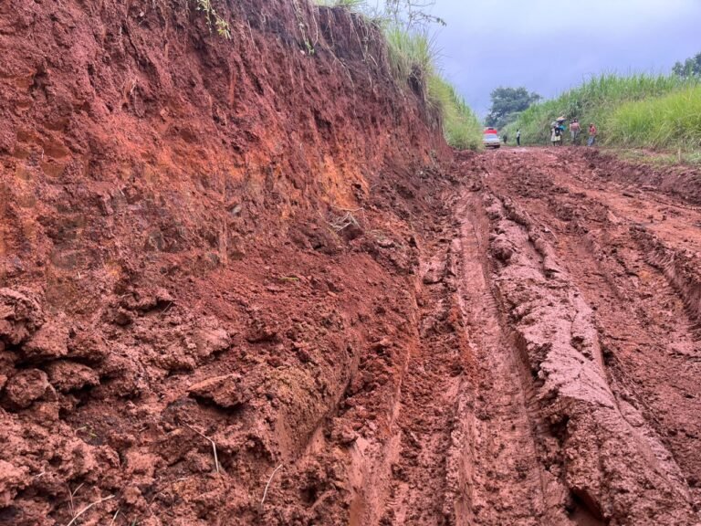 Au moins 6 routes de desserte agricole impraticables sur dans le secteur Ruwenzori