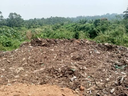 Les effets de la déforestation s’intensifient dans la région de Beni