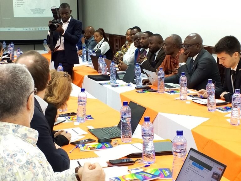 Plus de 5 000 ex-miliciens démobilisés en 4 ans en RDC, selon le PDDRCS