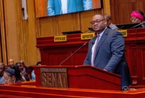 Assemblée nationale: deux projets de loi sur les accords de prêt avec la BADEA jugés recevables