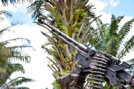 La situation sécuritaire demeure étendue ce lundi 25 mai dans plusieurs localités des territoires de Masisi et Rutshuru, au Nord-Kivu, au lendemain de frappes aériennes attribuées à des drones militaires. Ces attaques ont notamment visé Rubaya et Rumangabo, dans un contexte de combats intenses qui se poursuivent depuis plus d’une semaine dans la région. À ce stade, aucun bilan humain officiel n’a été communiqué par les autorités. Les frappes, dont l’origine reste indéterminée, n’ont été revendiquées par aucune des parties impliquées dans le conflit. Selon des sources locales, les bombardements ont suscité une vive inquiétude parmi les populations civiles déjà affectées par l’insécurité. Rumangabo : un centre de formation touché À Rumangabo, dans le territoire de Rutshuru, une frappe est survenue dimanche vers 7h30 à touché un bâtiment abritant un centre de formation destiné aux femmes et aux veuves d’écogardes de l’ICCN, situé dans l’enceinte du parc national des Virunga. Des dégâts matériels importants ont été signalés, mais aucune perte en vies humaines n’a été confirmée pour l’instant, selon des sources concordantes. Rubaya : une maison d’accueil visée en pleine nuit Quelques heures plus tôt, vers 00h15, une autre frappe avait ciblé une maison d’accueil dans la cité minière de Rubaya, dans le territoire de Masisi. L’établissement hébergerait plusieurs personnes au moment des faits. Là encore, aucune information officielle ne permet pour l’instant de déterminer l’ampleur des pertes humaines éventuelles. Des combats intenses sur plusieurs fronts Ces frappes interviennent dans un contexte de violents affrontements opposant la rébellion de l’AFC-M23 à une coalition de groupes Wazalendo, soutenus par les FARDC. Depuis plusieurs jours, les combats se concentrent dans le territoire de Masisi, notamment après la reprise de certaines localités du secteur de Katoyi par les groupes Wazalendo. Les affrontements se dérouleront désormais sur l’axe Kinigi–Chugi en direction de Rubaya, tandis que des échanges de tirs sont également signalés entre Nyakigano et Kasake, en direction de Ngungu. La multiplication des combats et l’usage présumé de drones dans cette zone suscitent de nouvelles inquiétudes quant à l’escalade du conflit dans le Nord-Kivu. Dans ce contexte, les populations civiles restent particulièrement exposées, entre déplacements forcés, destructions d’infrastructures et incertitudes liées aux opérations militaires en cours. Alors que les combats persistent, l’absence de communication officielle sur ces frappes alimente les interrogations sur leur origine et leurs implications dans un conflit déjà complexe.