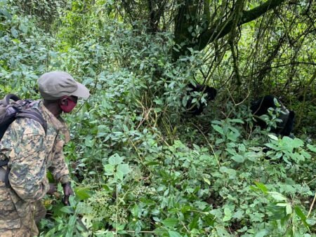 Au moins 31 cas de répressions contre les défenseurs de l’environnement recensés en 5 mois (ACEDH)