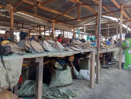 Les poissons abondent sur le marché de Mbuyi-Mayi