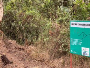 Parc National de Kahuzi-Biega : Entre conservation et revendication des Twas