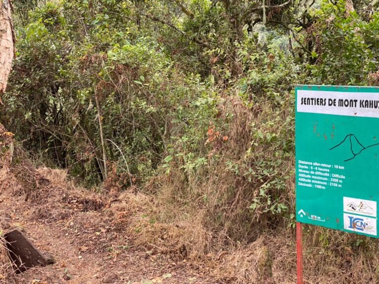 Parc National de Kahuzi-Biega : Entre conservation et revendication des Twas