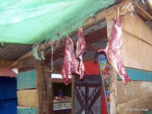 Des rumeurs sur Ebola concernent l’activité des bouchers à Bunia