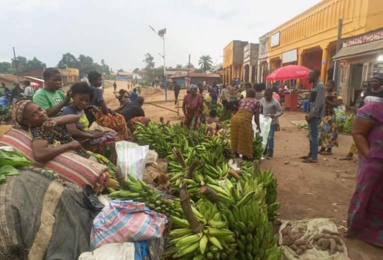 Chute du prix des régimes de bananes à Beni