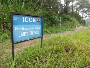 La révision des limites du Parc national des Virunga préconisée pour résoudre les conflits fonciers à Beni
