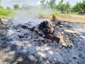 Plus de 200 civils tués en trois mois au Nord-Kivu, rapporte l’ONG Badilika
