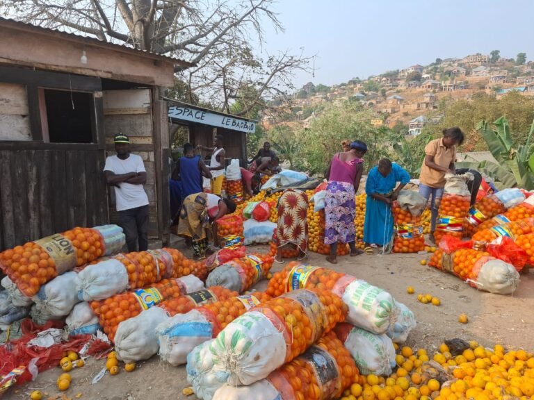 La délocalisation du marché transfrontalier d’Ango-Ango/Noki suscite l’inquiétude des commerçants à Matadi