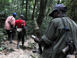 Quatre mois après son lancement, l’opération contre les FDLR piétine
