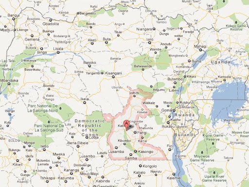 Cinq villages au Maniema vides de leurs habitants après des affrontements entre factions Wazalendo