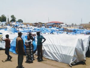 Ituri : plus de 80 000 déplacés sans assistance humanitaire dans le territoire de Mambasa