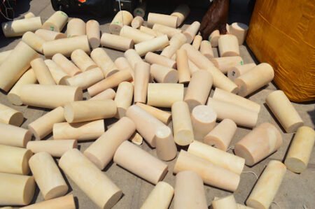 Saisie de 30 kilos d’ivoire et d’une peau de lion à Beni