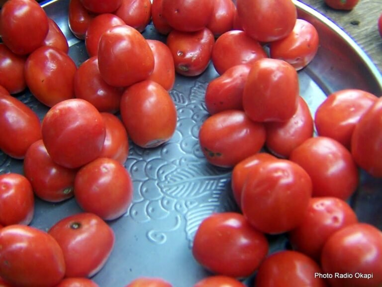 Mbuji-Mayi : la tomate fraîche abonde sur les marchés et les experts en santé encouragent sa consommation