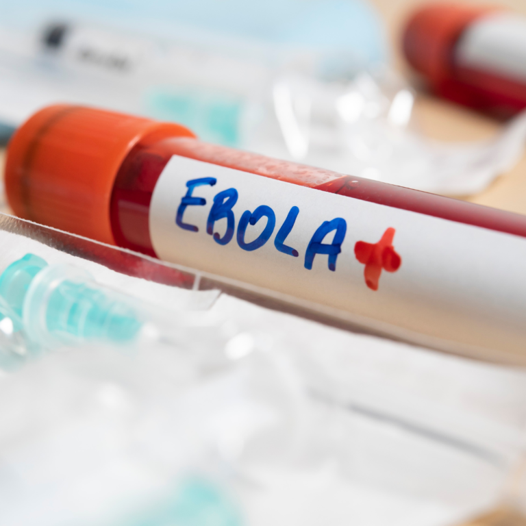 Ebola en RDC : l’OMS appelle à accélérer la riposte tandis que l’espoir d’un vaccin se précise