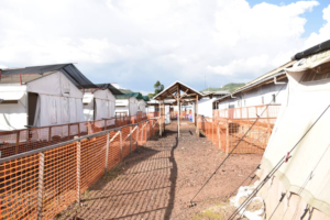 Ituri : Ebola continue de faire des ravages à Tchomia, avec un taux de létalité alarmant de 61 %