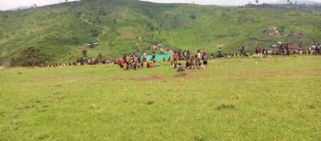 Sud-Kivu : la prolifération des tiques menace la santé des enfants en vacances à Miti